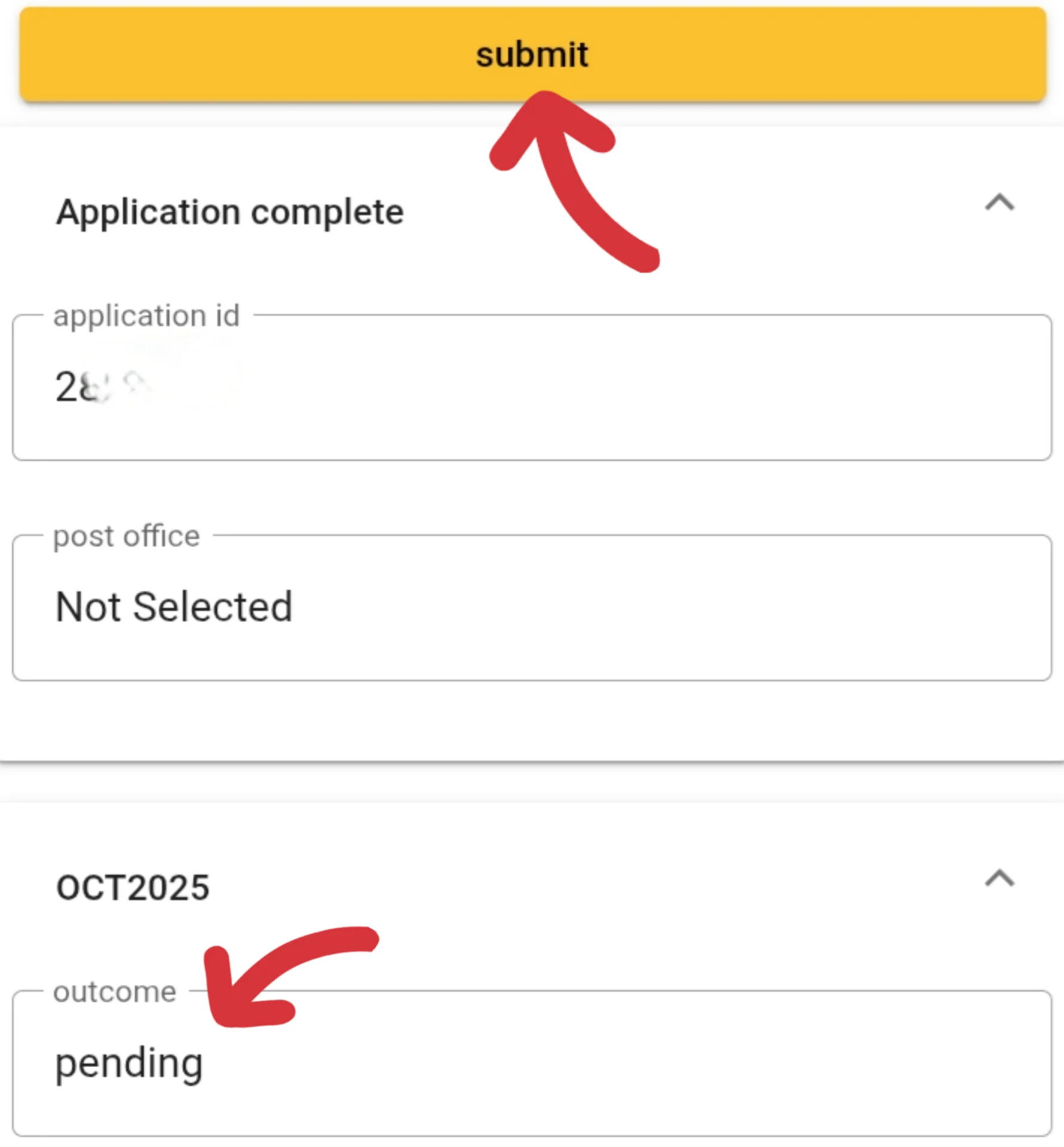 Example of a SASSA SRD status check result showing approved for a month.